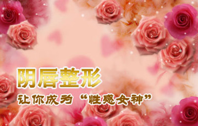 阴唇