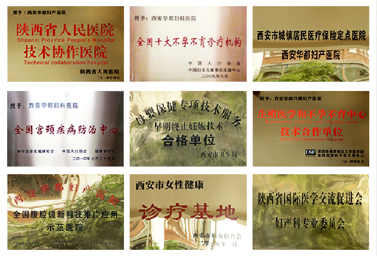 院内新闻